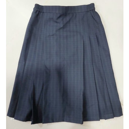 PPS Secondary Short Skirt (Chekered)